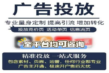 SEM竞价实战：成功案例解析